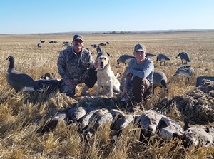Saskatchewan Goose And Duck Combo Hunts