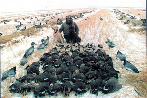 Saskatchewan Waterfowl Hunts Saskatchewan Waterfowl Hunts