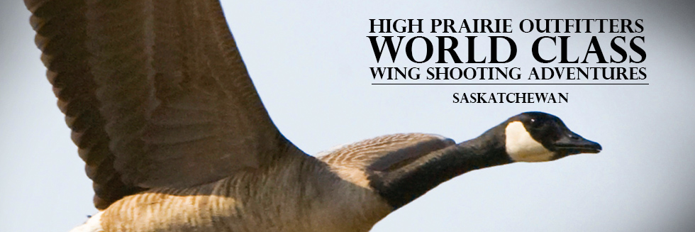 Saskatchewan Guided Waterfowl Hunts - High Prairie Outfitters