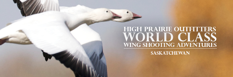 Saskatchewan Guided Waterfowl Hunts - High Prairie Outfitters