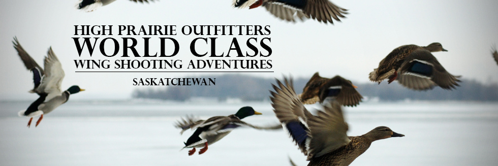 Saskatchewan Guided Waterfowl Hunts - High Prairie Outfitters