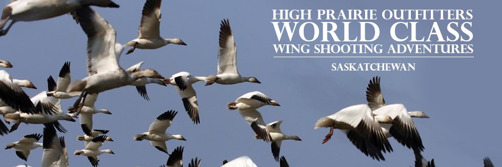 Saskatchewan Guided Waterfowl Hunts - High Prairie Outfitters